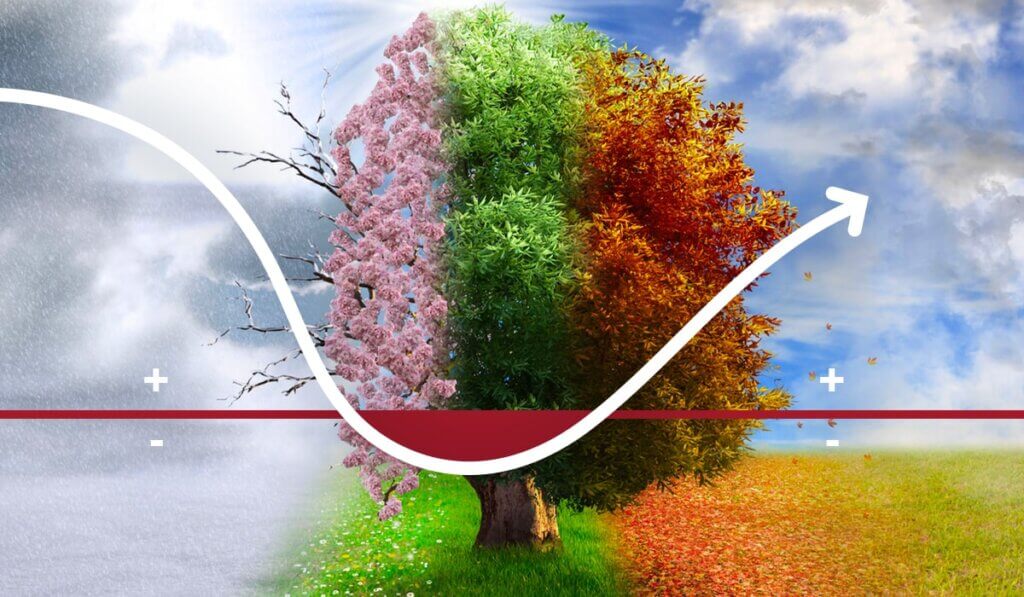 Tree divided into four seasonal sections with white arrow graph showing upward trend for seasonal payment patterns.
